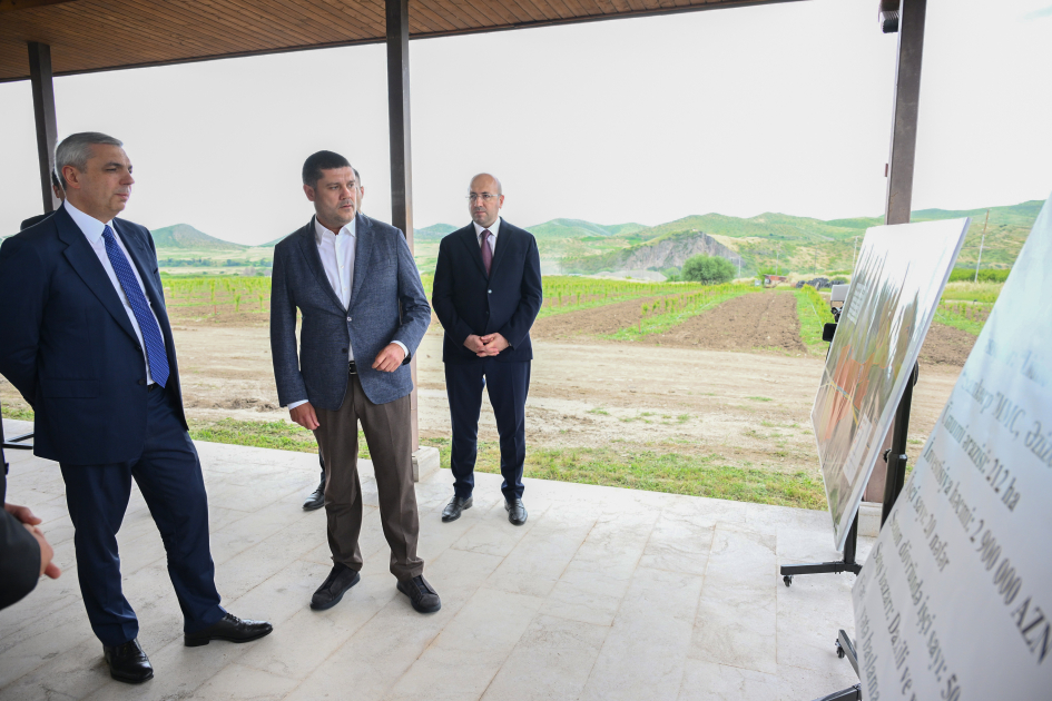 Participants of Coordination Headquarters meeting view intensive horticulture farms in Khojaly district (PHOTO)