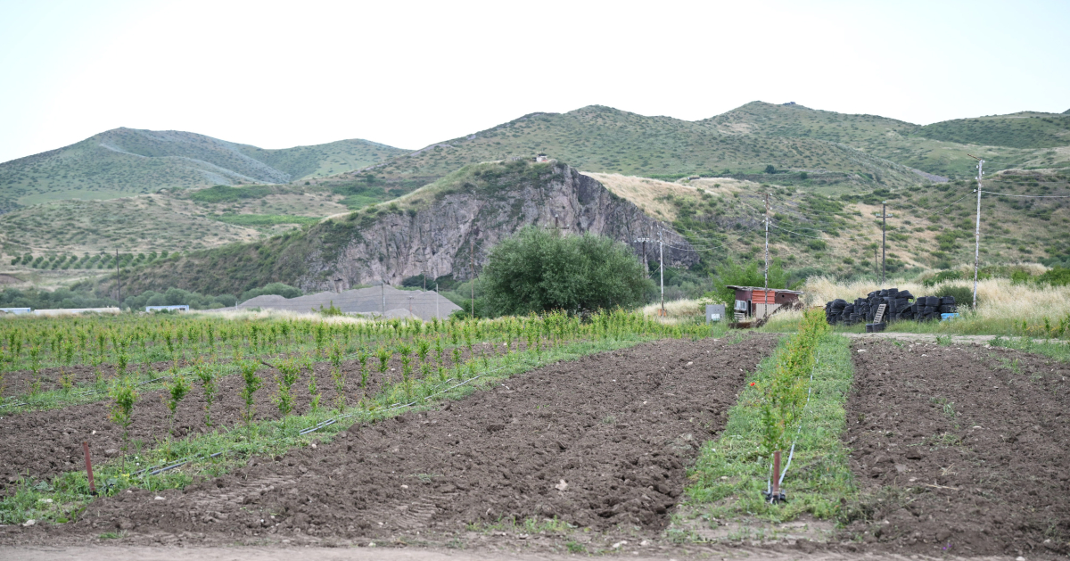 Participants of Coordination Headquarters meeting view intensive horticulture farms in Khojaly district (PHOTO)