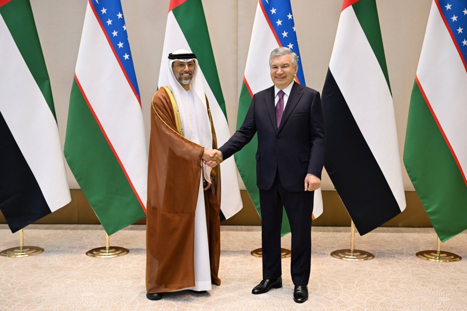 Uzbek President seeks faster implementation of investment projects with UAE