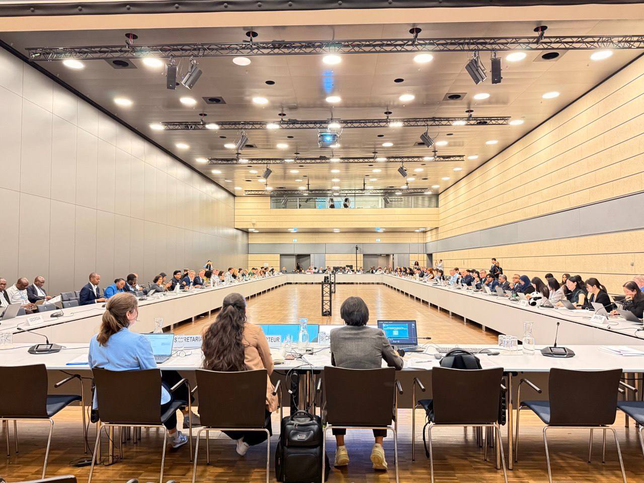 Uzbekistan highlights climate progress at U.N. session in Bonn