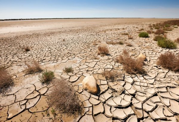 Uzbekistan, China sign agreements to expand co-op on desertification control