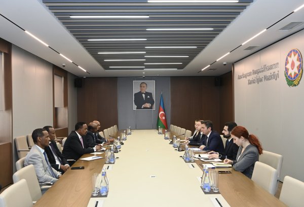 Azerbaijan's deputy FM holds meeting with IGAD executive secretary (PHOTO)