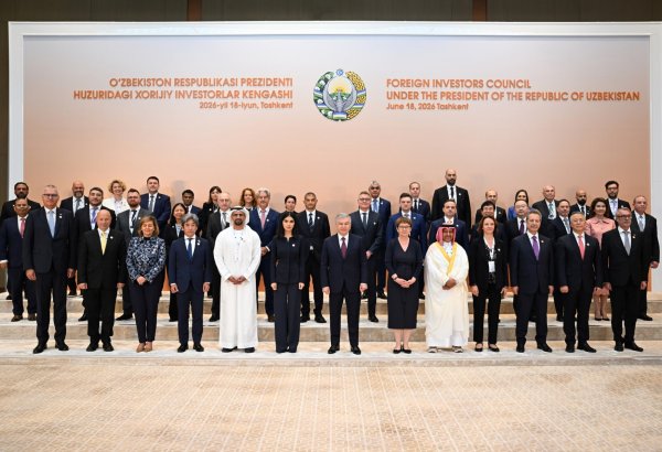 Uzbek President highlights reform progress at foreign investors council meeting