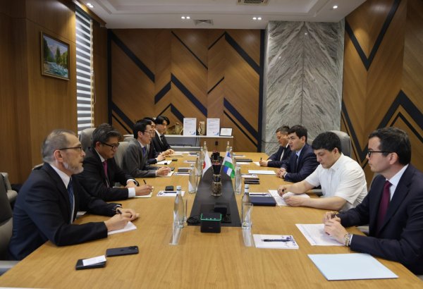 Japan's Itochu explores new mining opportunities in Uzbekistan