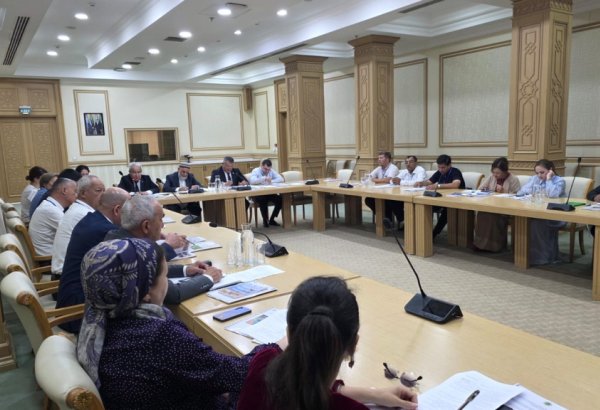 Ashgabat hosts roundtable on land degradation and climate action