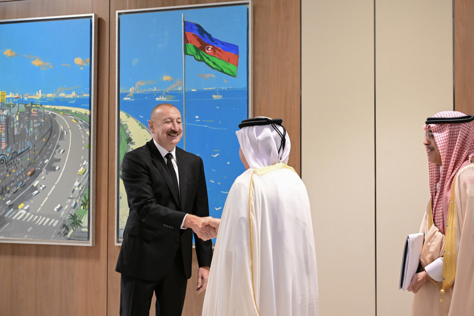 President Ilham Aliyev receives delegation of heads of member institutions of Arab Coordination Group (PHOTO)