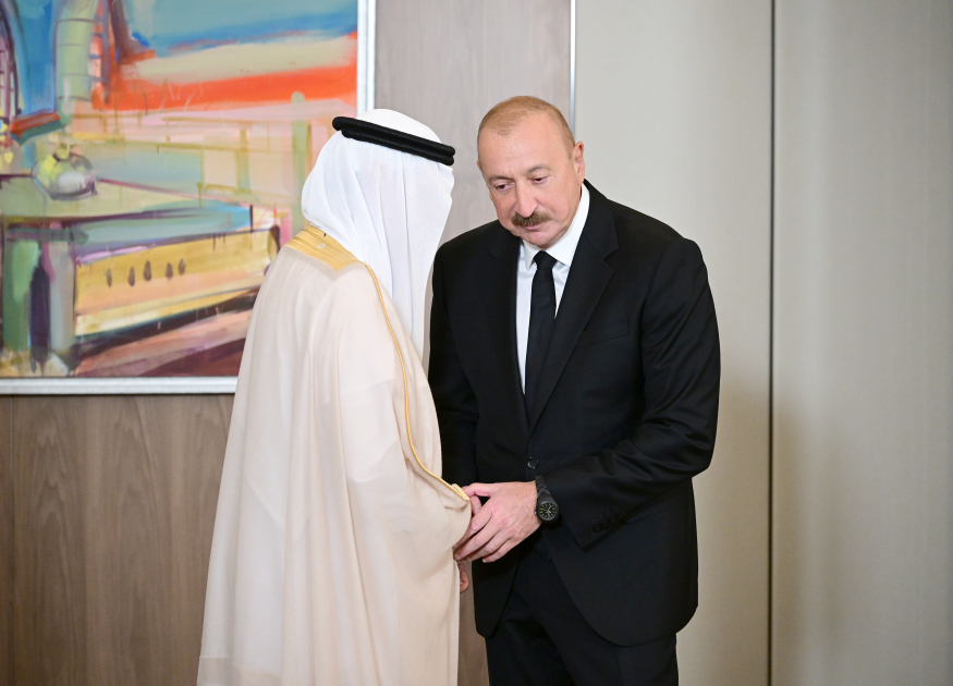 President Ilham Aliyev receives delegation of heads of member institutions of Arab Coordination Group (PHOTO)