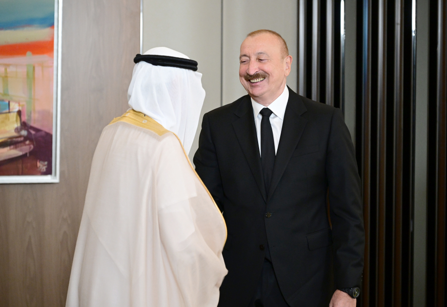 President Ilham Aliyev receives delegation of heads of member institutions of Arab Coordination Group (PHOTO)