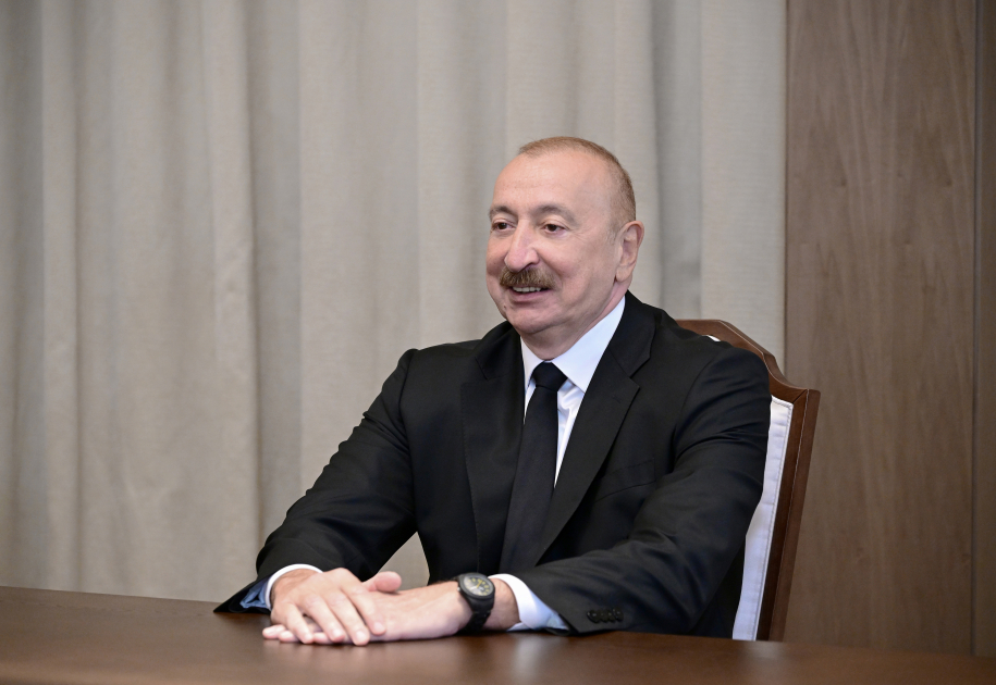 President Ilham Aliyev receives delegation of heads of member institutions of Arab Coordination Group (PHOTO)