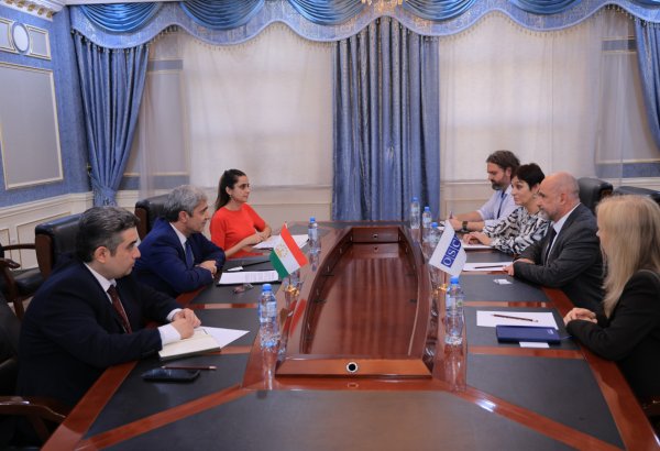 Tajikistan and OSCE discuss regional security, border stability
