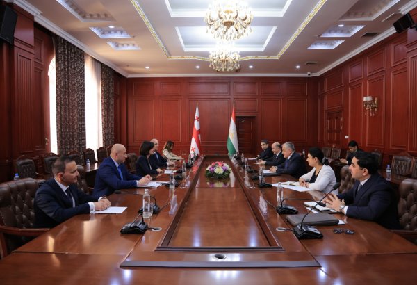 Tajikistan and Georgia discuss further development of bilateral relations