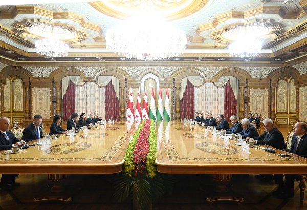 Tajikistan and Georgia discuss current state and prospects of bilateral relations