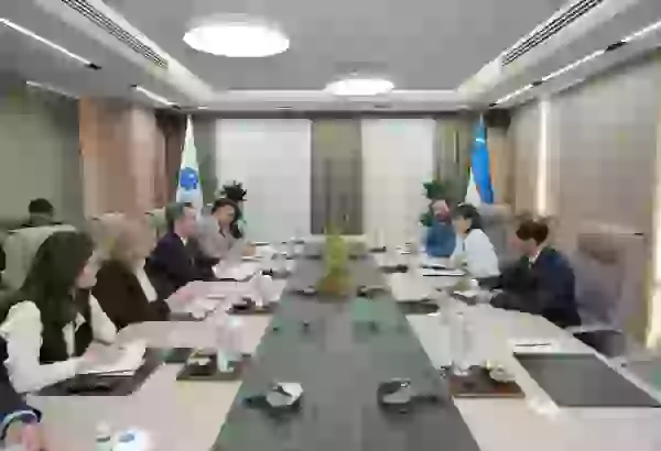 Uzbekistan, European Union discuss expanding digital connectivity co-op