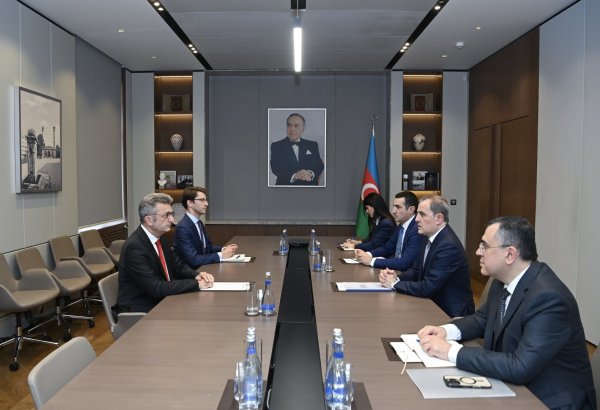 Azerbaijani foreign minister receives German ambassador (PHOTO)