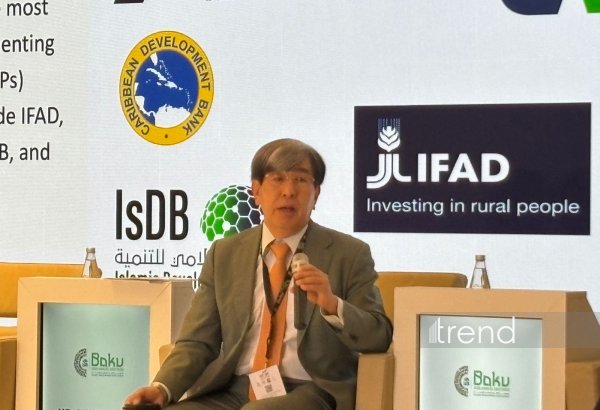 Middle Corridor needs well-designed projects to attract more investments - MCDF