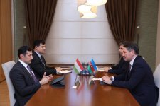Azerbaijan and Tajikistan discuss cooperation prospects (PHOTO)