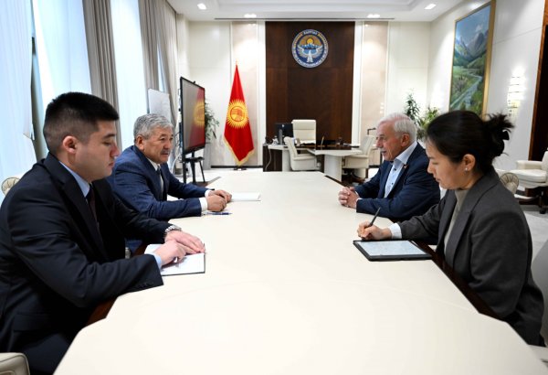 Kyrgyzstan and Germany discuss deepening cooperation in various fields