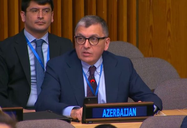 Azerbaijan has successfully transformed from recipient of humanitarian aid into donor country - Tofig Musayev