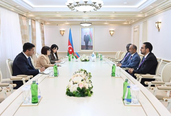 Azerbaijani Parliament Speaker meets President of Global Council for Tolerance and Peace (PHOTO)