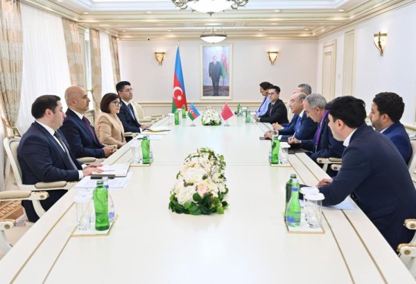 Azerbaijani Parliament Speaker meets with Deputy Speaker of House of Representatives of Morocco (PHOTO)