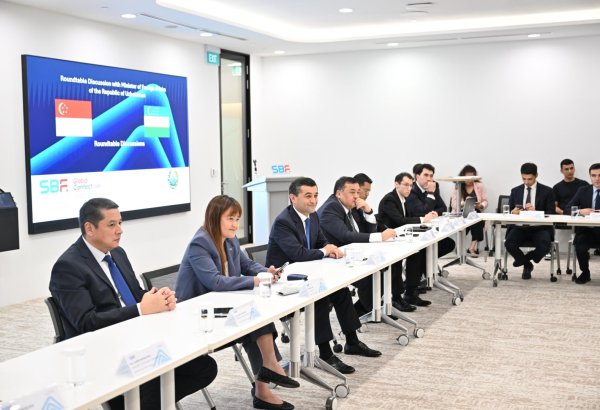 Singapore companies explore opportunities in Uzbekistan's digital economy