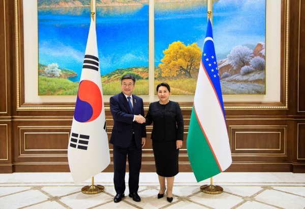 Uzbekistan, South Korea seek deeper cooperation in digital governance
