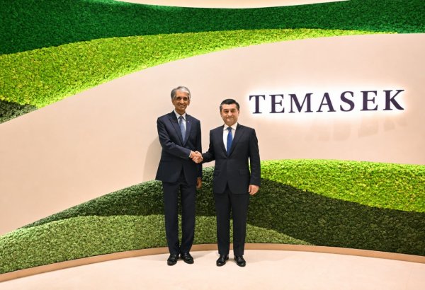 Uzbekistan seeks closer investment ties with Singapore's Temasek