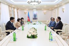 Azerbaijani Parliament Speaker meets President of Global Council for Tolerance and Peace (PHOTO)