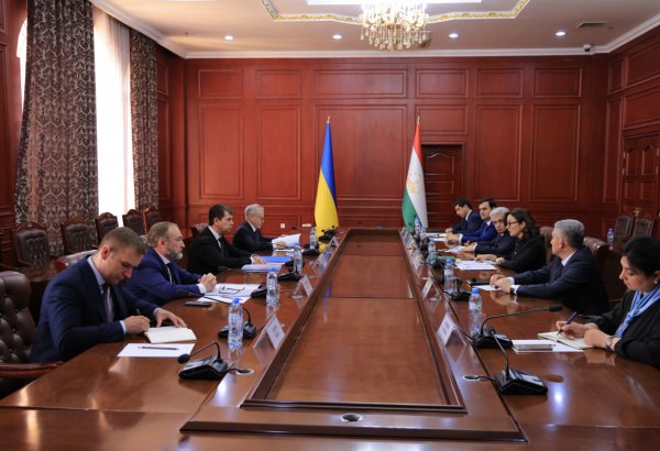 Tajikistan and Ukraine discuss development of bilateral relations