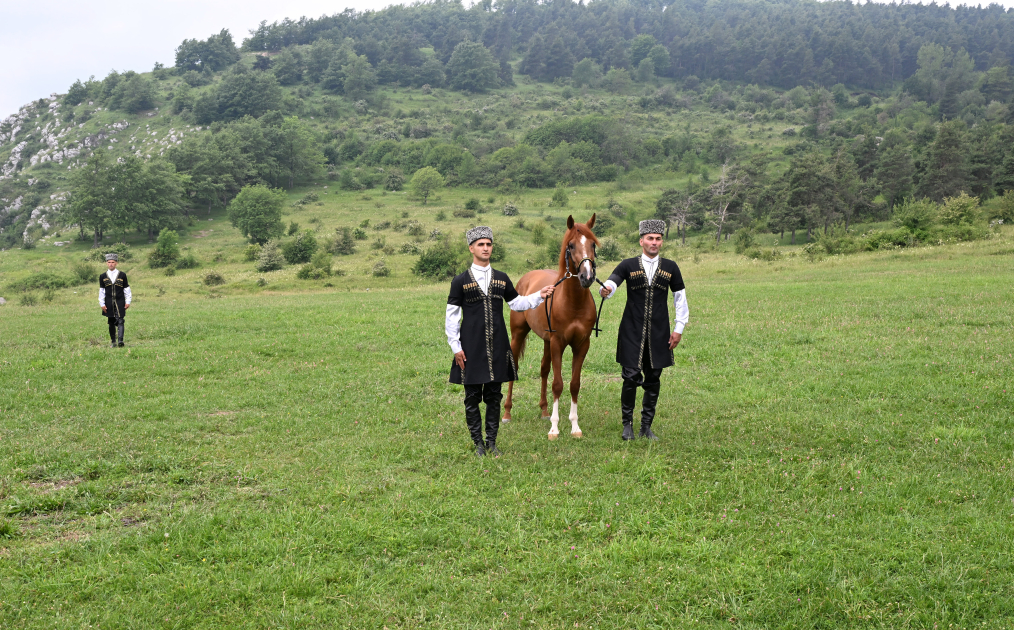 President Ilham Aliyev gifts President of Turkmenistan a Garabagh horse (PHOTO)