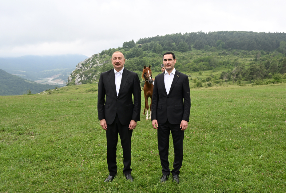 President Ilham Aliyev gifts President of Turkmenistan a Garabagh horse (PHOTO)