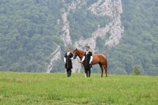 President Ilham Aliyev gifts President of Turkmenistan a Garabagh horse (PHOTO)