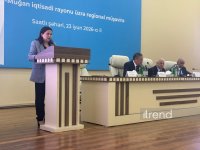 Regional consultation on Mil-Mughan economic region wraps up in Azerbaijan's Saatli (PHOTO)