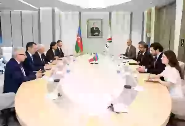 SOCAR, Italy discuss energy security and investment projects (PHOTO)