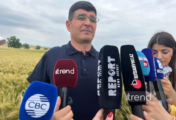 Azerbaijan bans sale of uncertified seeds, strengthens state control – Fikrat Feyziyev