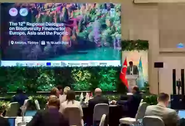 Uzbekistan takes part in Regional Biodiversity Finance Dialogue in Türkiye