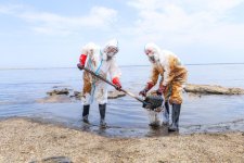 Cleanup campaign held in Dubendi residential area at Leyla Aliyeva’s initiative (PHOTO)