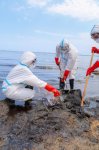 Cleanup campaign held in Dubendi residential area at Leyla Aliyeva’s initiative (PHOTO)