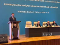 Azerbaijan reveals crucial role of cotton farming in its economy
