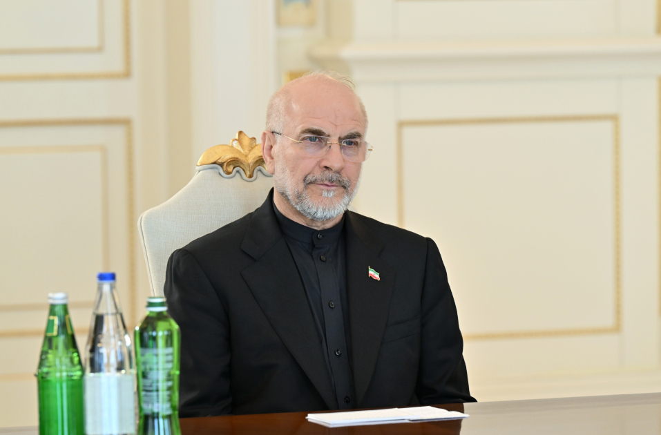 President Ilham Aliyev receivesdelegation led by Speaker of Iran’s Islamic Consultative Assembly (PHOTO)