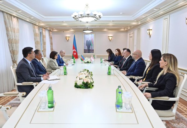 Azerbaijan, Northern Cyprus exchange views on parliamentary relations (PHOTO)