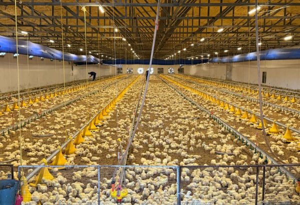 Kyrgyzstan’s Eco Kush to expand poultry production with new investment