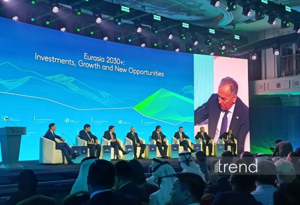 IDBs play key role in Uzbekistan’s economic growth — deputy minister