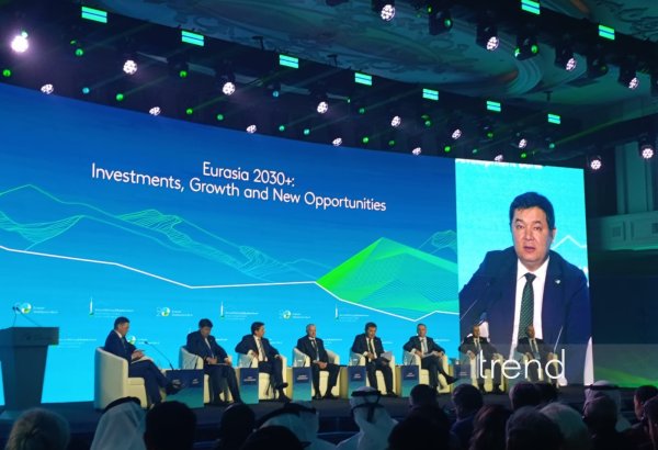 Kyrgyzstan aims to sustain strong economic growth momentum - minister