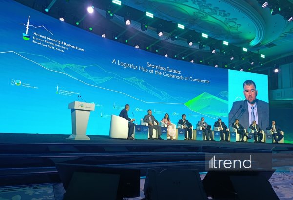 TRACECA urges Central Asia nations to create more convenient crossborder co-op mechanisms