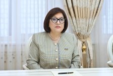 Azerbaijan, Northern Cyprus exchange views on parliamentary relations (PHOTO)