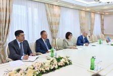 Azerbaijan, Northern Cyprus exchange views on parliamentary relations (PHOTO)