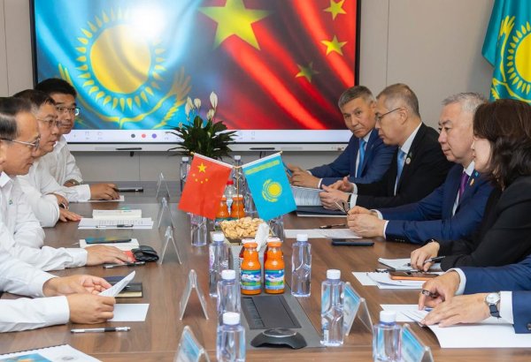 Kazakhstan holds investment talks with Chinese companies