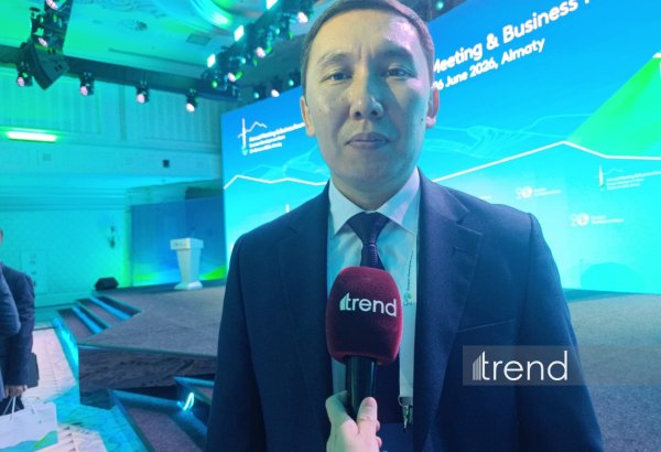 Education accounts for 57% of PPP projects in Kazakhstan – official (Exclusive)