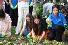 Leyla Aliyeva and Arzu Aliyeva participate in seasonal flower planting campaign on Baku Boulevard (PHOTO)